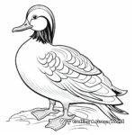 Mandarin Duck Coloring Pages 2