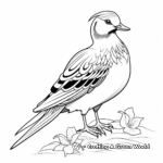 Mandarin Duck Coloring Pages 4