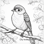 Marvelous Rainbow and Birds Coloring Pages 4