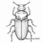 Metallic Sheen Jewel Beetle Coloring Pages 1
