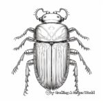 Metallic Sheen Jewel Beetle Coloring Pages 2