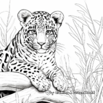 Mexican Wildlife: Jaguar and Quetzal Coloring Pages 4