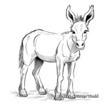 Miniature Donkey Coloring Pages 2