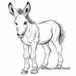 Miniature Donkey Coloring Pages 4