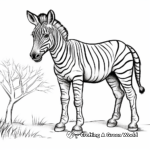 Miniature Quagga Zebra Coloring Pages 1