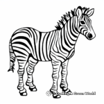 Miniature Quagga Zebra Coloring Pages 2