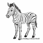 Miniature Quagga Zebra Coloring Pages 4