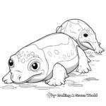 Mother and Baby Platypus Coloring Pages 1