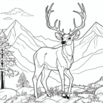 Mountain Wildlife Coloring Pages 2