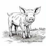 Muddy Piglet Coloring Pages 3