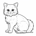 Multi-colored Ragdoll Cat Coloring Pages 2