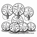 Multiple Sand Dollars Coloring Sheets 1