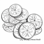 Multiple Sand Dollars Coloring Sheets 2