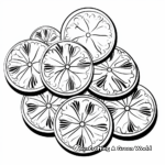 Multiple Sand Dollars Coloring Sheets 4