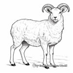 Native European Mouflon Sheep Coloring Pages 1