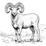 Native European Mouflon Sheep Coloring Pages 2