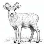 Native European Mouflon Sheep Coloring Pages 3