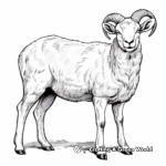 Native European Mouflon Sheep Coloring Pages 4