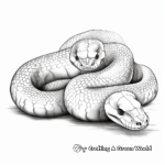 Natural Python Snake Coloring Pages for Nature Lovers 1