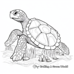 Nesting Sea Turtle Coloring Pages 1