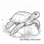 Nesting Sea Turtle Coloring Pages 2