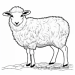 New Zealand's Famous Sheep Coloring Pages 1