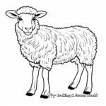 New Zealand's Famous Sheep Coloring Pages 3