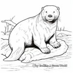 North American River Otter Coloring Pages 2