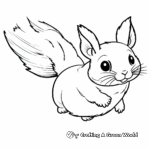 Northern Flying Squirrel Coloring Pages 2
