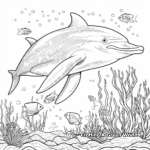 Ocean's Beauty: Dolphin Coloring Pages 1