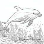 Ocean's Beauty: Dolphin Coloring Pages 2