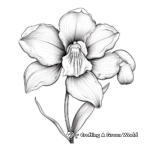Orchid Coloring Pages: Detailed and Pretty 1