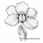 Orchid Coloring Pages: Detailed and Pretty 2