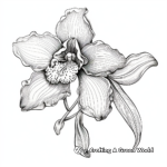 Orchid Coloring Pages: Detailed and Pretty 3
