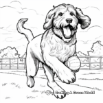 Otterhound at Play Coloring Pages 2