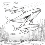 Pair of Humpback Whales: Underwater Scene Coloring Pages 4
