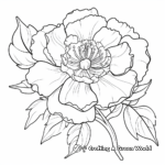 Peony Flower Coloring Pages for Flower Lovers 2