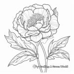 Peony Flower Coloring Pages for Flower Lovers 3