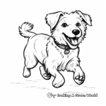 Playful Border Collie Chasing Tail Coloring Pages 1