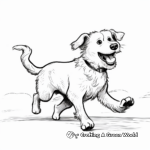 Playful Border Collie Chasing Tail Coloring Pages 2