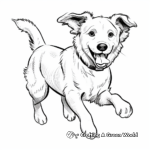 Playful Border Collie Chasing Tail Coloring Pages 3