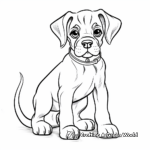 Playful Boxer Puppy Coloring Pages 2