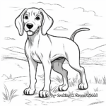 Playful Coonhound Coloring Pages 4
