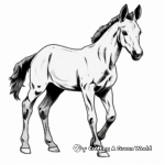Playful Foal Coloring Pages 1