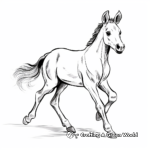 Playful Foal Coloring Pages 2