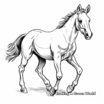 Playful Foal Coloring Pages 3