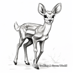 Playful Gazelle Calves Coloring Pages 3