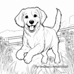 Playful Golden Retriever Coloring Pages 3