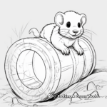 Playing Ferret Coloring Sheets 1
