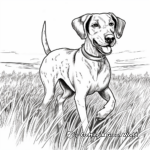 Plott Hound on the Hunt Coloring Pages 2